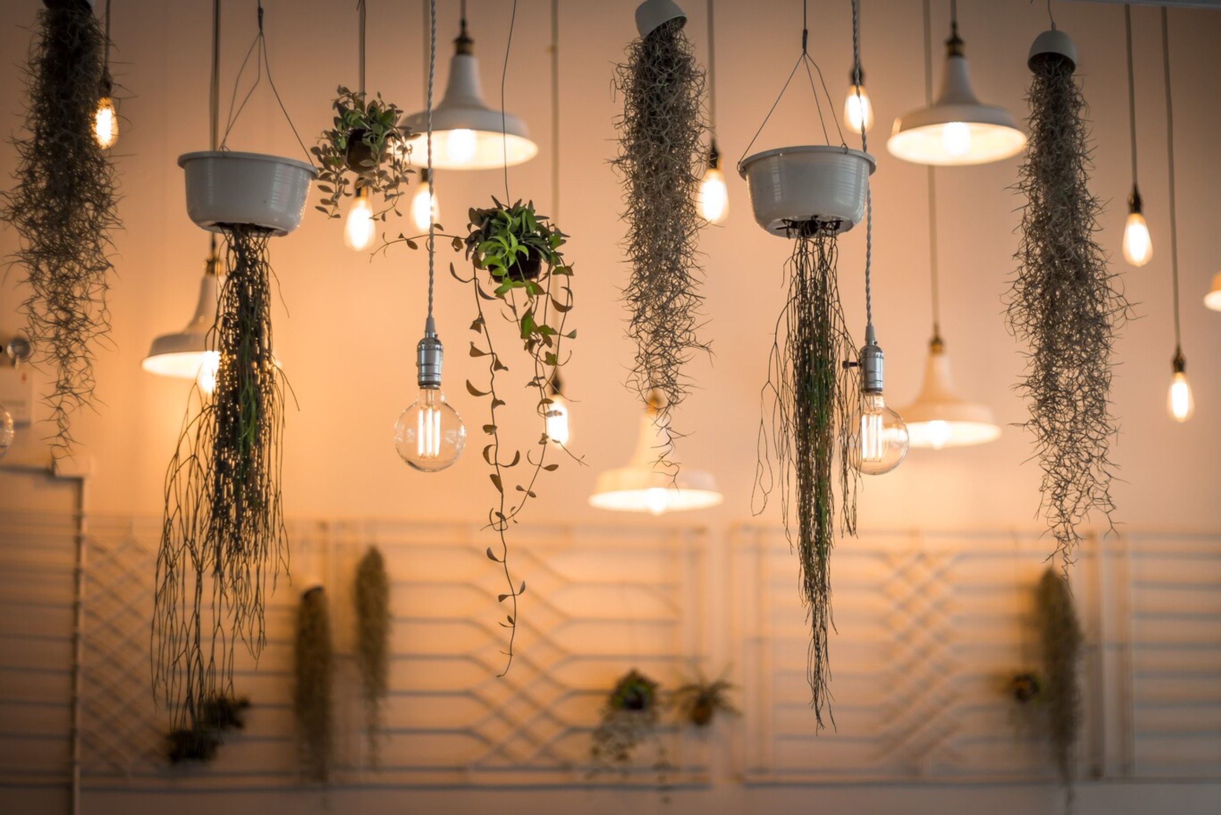 Adriana Medina Diseño Interior